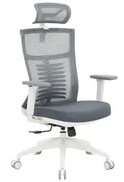 Офісне крісло OfficePro Balance OC550-W-DG-OR (OC550-W-DG-OR)