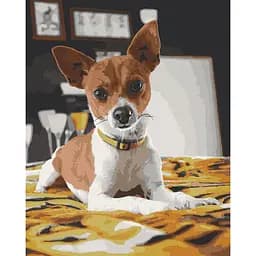 Картина за номерами ArtCraft Чихуахуа 40х50 см 11633-AC