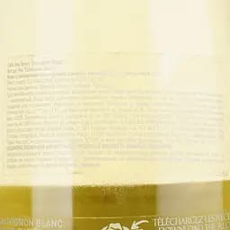 Вино Gerard Bertrand Cote des Roses Sauvignon Blanc, біле, сухе, 0,75 л - мініатюра 4