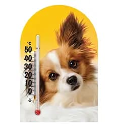 Термометр Склоприлад Сувенір Зоо Світ Папільон (300623)