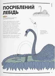 Роботландія, Бeрта Парамо/ - мініатюра 9