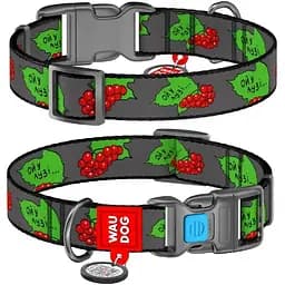 Нашийник для собак нейлоновий з QR паспортом малюнок Калина пластиковий фастекс розмір S