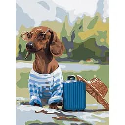 Картина за номерами Ideyka Маленький мандрівник 30х40 см (KHO4275)