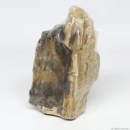 Декоративний природній камінь Hobby Petrified Wood S 0.3-1.0кг (40686) - мініатюра 5
