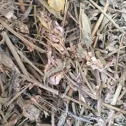 100 г эспарцет трава сушеная - свежий урожай