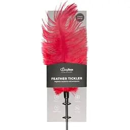 Тиклер-перо EasyToys Fetish Feather Tickler 53 см красный
