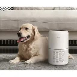 Очищувач повітря Levoit Smart Air Purifier Core 300S Plus [HEAPAPLVSEU0104] [120876] - мініатюра 6