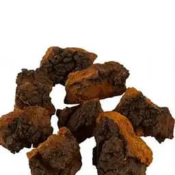 100 г чага/березовый гриб сушеный кусочками - свежий урожай