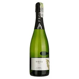 Игристое вино Vallformosa Proa Brut, белое, брют, 0,75 л