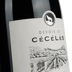 Вино Devois De Ceceles Rouge 2020 AOP Pic Saint Loup, червоне, сухе, 0.75 л - мініатюра 5