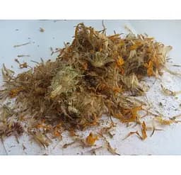 Арніка Квіти Нечуй-вітер Скусівник Arnica montana