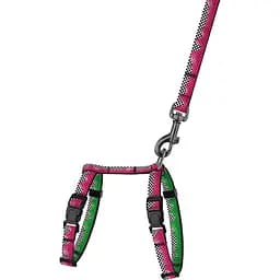 Шлея для котів та собак дрібних порід BronzeDog Urban Art Піт-стоп з повідцем XXS 15-23 см