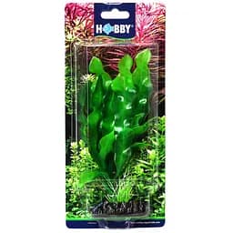 Штучна рослина Hobby Echinodrus 20 см (41504) - мініатюра 2