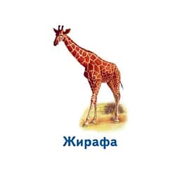 Настільна гра Парочки: Світ тварин Ранок 1392003, 6 ігор - мініатюра 3