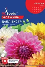Насіння GL Seeds рrofessional Жоржина Дабл Екстрім 0.25 г
