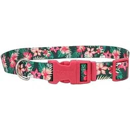 Нашийник для собак Coastal Pet Attire Style 1см х 12-30см