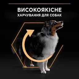 Сухий корм Purina Pro Plan Medium Adult 1+ Everyday Nutrion для дорослих собак середніх порід з куркою 3 кг (12279419) - мініатюра 5