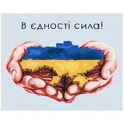 Розмальовка за номерами Brushme В єдності сила Дар'я Михайлишина (40х50) (BS53080)