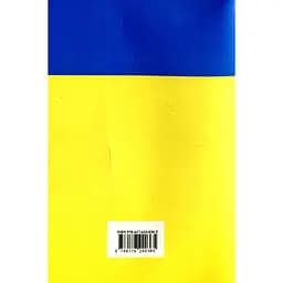 Виконавче провадження в Україні - мініатюра 2
