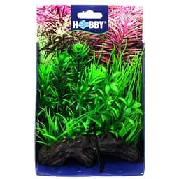 Штучна рослина Hobby Flora Root 2 S 17 см (51595)