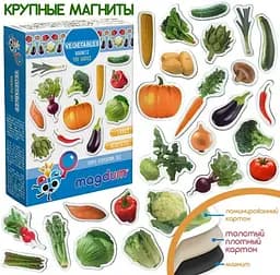 Набір магнітів Magdum "Овочі" ML4031-12 EN - мініатюра 3