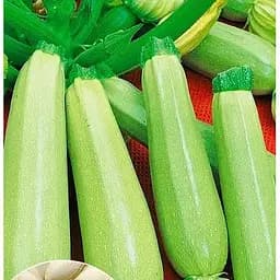 Насіння Весна Кабачок Аспірант Зіпер 5 г (22258)