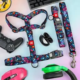 Повідець для собак Waudog Nylon нейлоновий, малюнок "Нескінченні світи", M - мініатюра 3