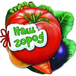 Книга Видавництво Ранок Відгадай-но: Наш город