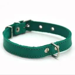 Ошейник для собак Zoo-hunt кожаный О мятный 1,2/20-25 см