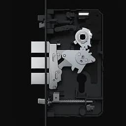 Розумний замок Aqara Smart Door Lock D100 Global EU (ZNMS20LM) [71968] - мініатюра 6