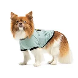 Фут болка Pet Fashion Oscar для собак бавовна трикотаж рибана блакитна L - мініатюра 2