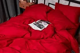 Комплект постільної білизни Moon&Star Satin Stripe Stripe Red полуторний євро 160х220 наволочки 2х40х60 - мініатюра 5