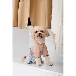 Дощовик Pet Fashion Tina для дівчаток розмір S2 бежевий/блакитний - мініатюра 5