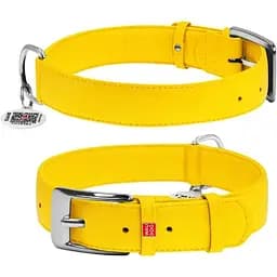 Ошейник для собак Waudog Glamour кожаный с QR паспортом, без украшений, L, Ш 35 мм, Дл 46-60 см (2033228000000)