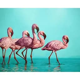 Картина постер на холсте BrushMe Стая фламинго