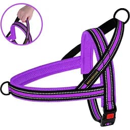 Шлея для собак BronzeDog Mesh Скандинавська, розмір S, 30х32-38 см, фіолетова - мініатюра 3
