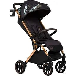 Коляска прогулянкова Lionelo Cloe Golden Moments (LO-CLOE GOLDEN MOMENTS )