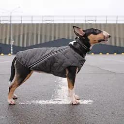 Жилет для собак Pet Fashion E.Vest SM сірий - мініатюра 3