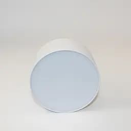 Накладний світильник Friendlylight Mono R12 LED 10W FL2019 - мініатюра 2
