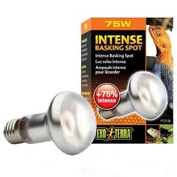 Рефлекторная лампа Exo Terra Intense Basking Spot террариумная, для обогрева, 75 W, E27