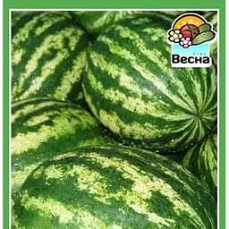 Насіння Весна Кавун Ау Продюсер 1.5 г (10024)