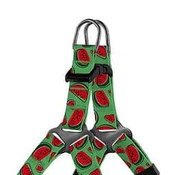Шлея для собак дрібних порід BronzeDog Urban Fruits Кавун XXS 24-30 см - мініатюра 2