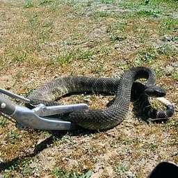 Металевий захват для змій Repti-zoo Snake Tong 100см (SC40) - мініатюра 9