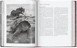Sebastiao Salgado. Genesis. 45th Edition - мініатюра 8