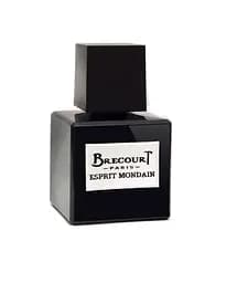 Парфумована вода Brecourt Esprit Mondain 50 мл