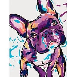 Набір для розпису ArtCraft Француз за номерами 30х40 см (11667-NN)