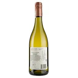Вино Castillo de Molina Sauvignon Blanc, біле, сухе, 11,5-14%, 0,75 л - мініатюра 2