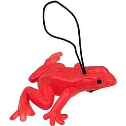 Прикол Жабка