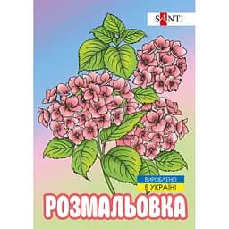 Раскраска антистресс Santi Флористика 12 страниц (743058)