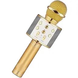 Караоке для домашнього використання OPT-TOP WS-858 портативний мікрофон для дітей золотий (2046712603)